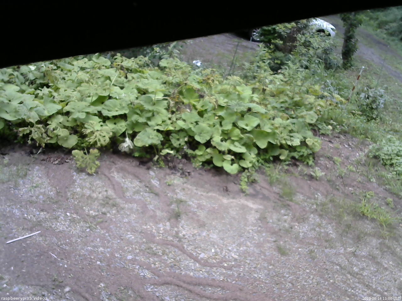 長野県菅平高原 ゆたか山荘 駐車場 2025/08/14 11:00
