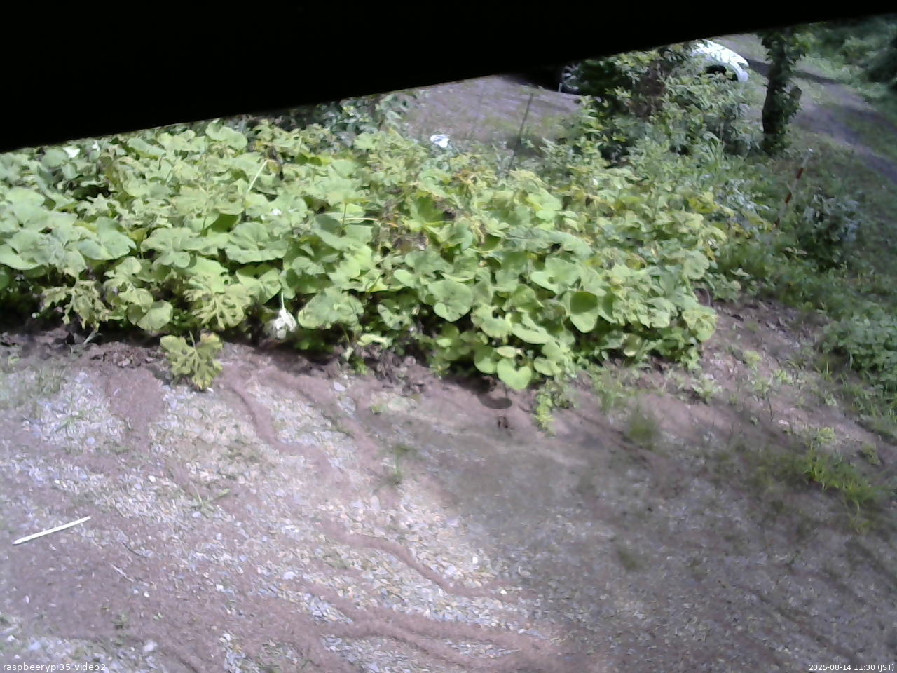 長野県菅平高原 ゆたか山荘 駐車場 2025/08/14 11:30