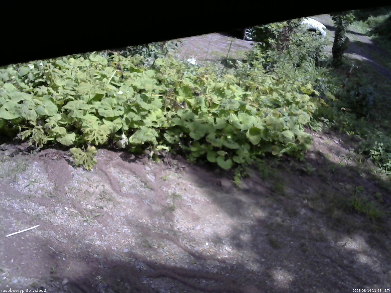 長野県菅平高原 ゆたか山荘 駐車場 2025/08/14 11:45