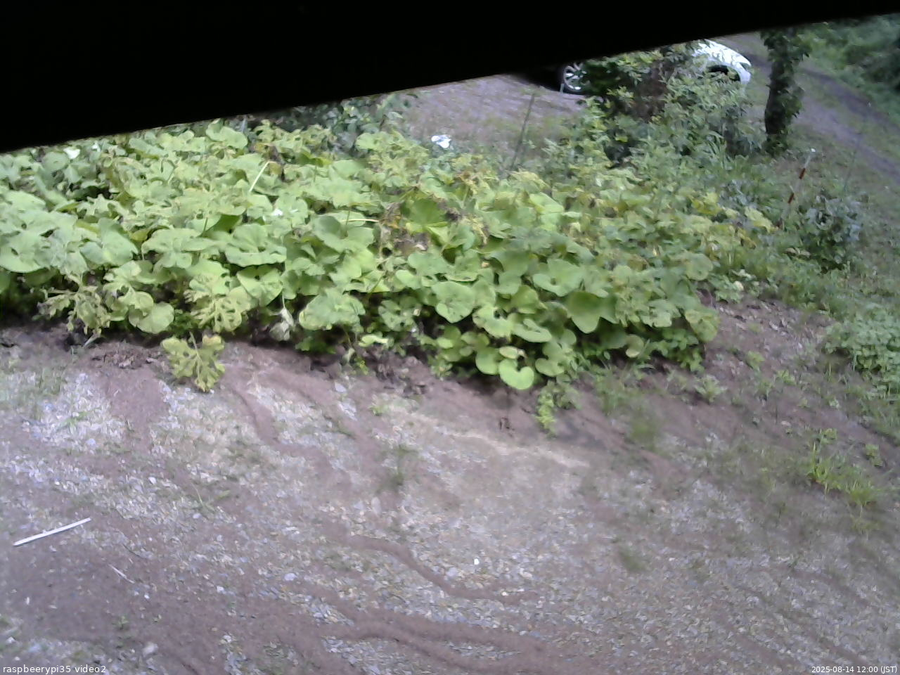 長野県菅平高原 ゆたか山荘 駐車場 2025/08/14 12:00