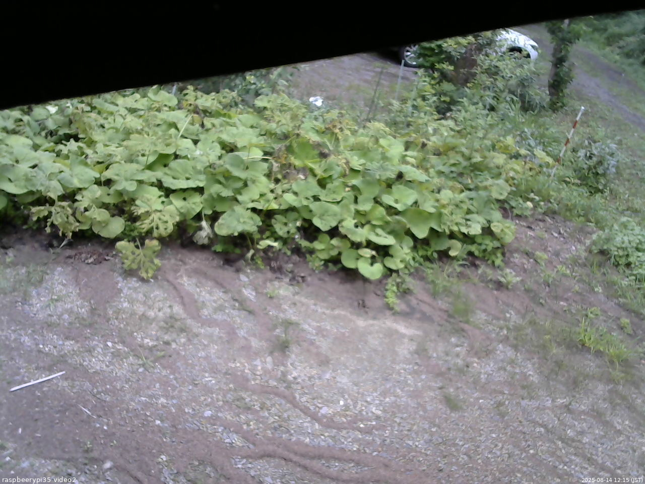 長野県菅平高原 ゆたか山荘 駐車場 2025/08/14 12:15
