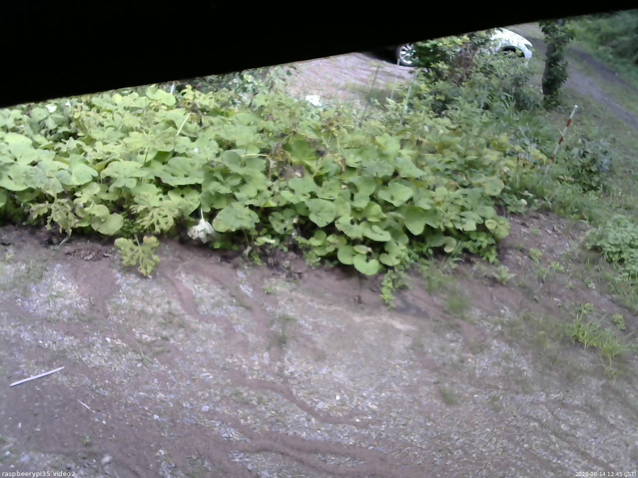 長野県菅平高原 ゆたか山荘 駐車場 2025/08/14 12:45