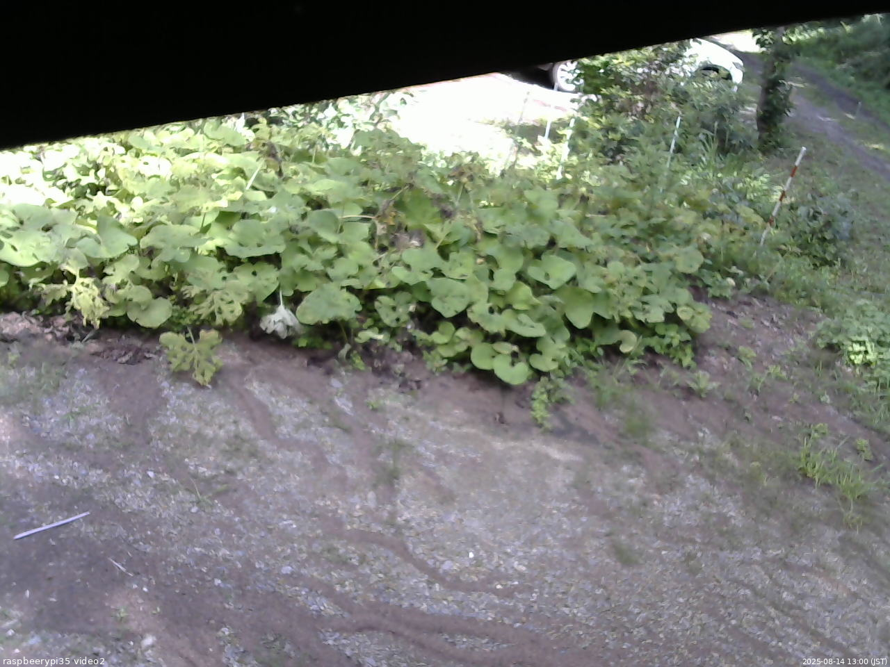 長野県菅平高原 ゆたか山荘 駐車場 2025/08/14 13:00