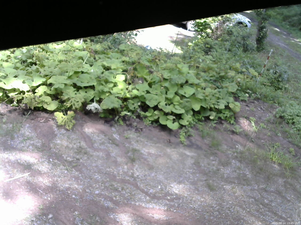 長野県菅平高原 ゆたか山荘 駐車場 2025/08/14 13:45