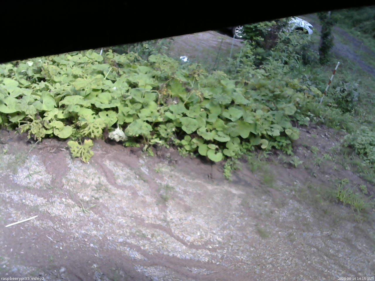 長野県菅平高原 ゆたか山荘 駐車場 2025/08/14 14:15