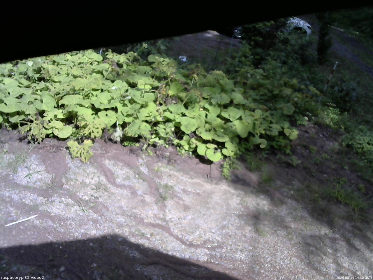 長野県菅平高原 ゆたか山荘 駐車場 2025/08/14 14:30