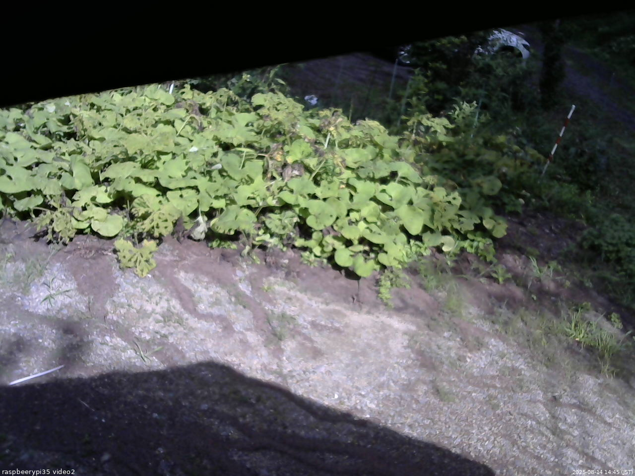 長野県菅平高原 ゆたか山荘 駐車場 2025/08/14 14:45