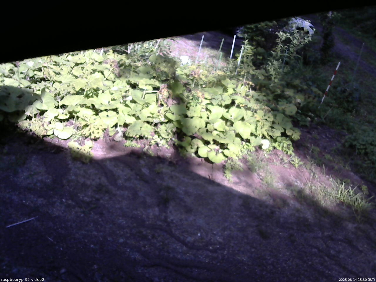長野県菅平高原 ゆたか山荘 駐車場 2025/08/14 15:30