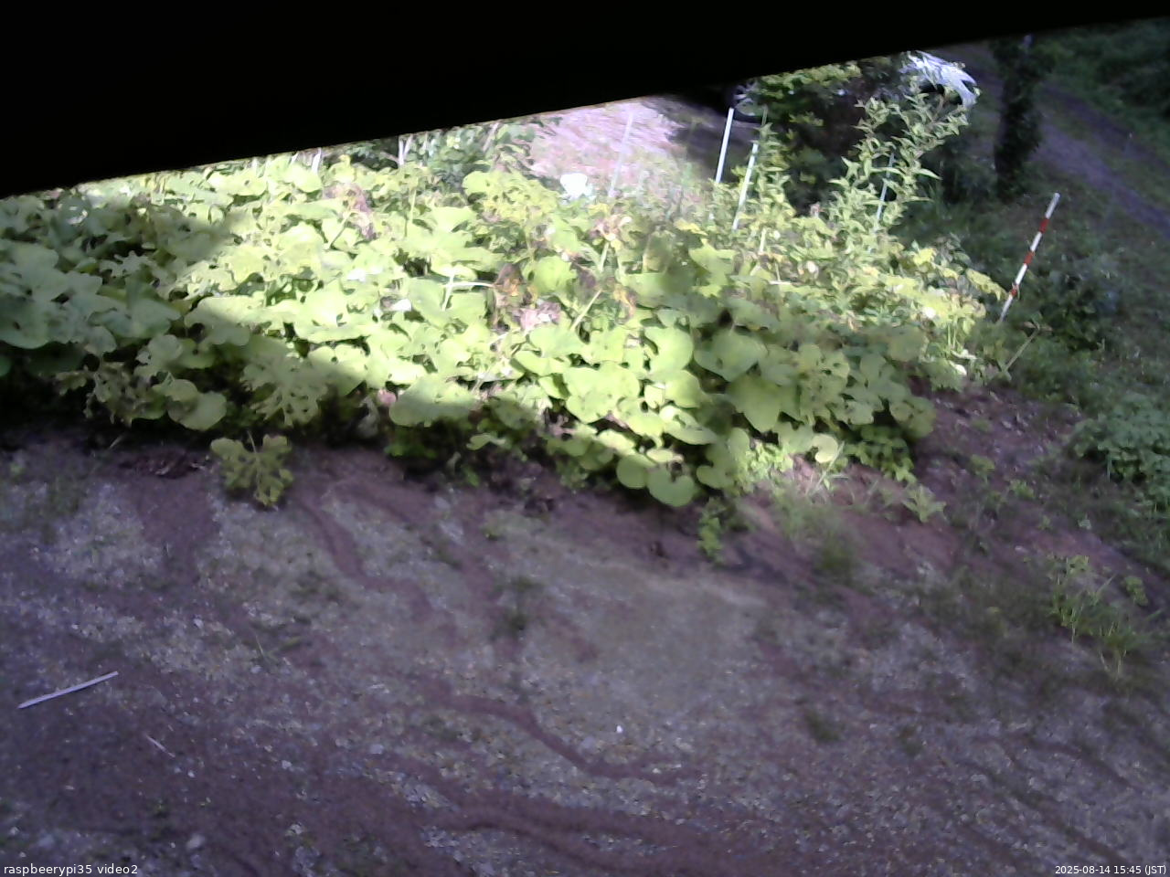 長野県菅平高原 ゆたか山荘 駐車場 2025/08/14 15:45
