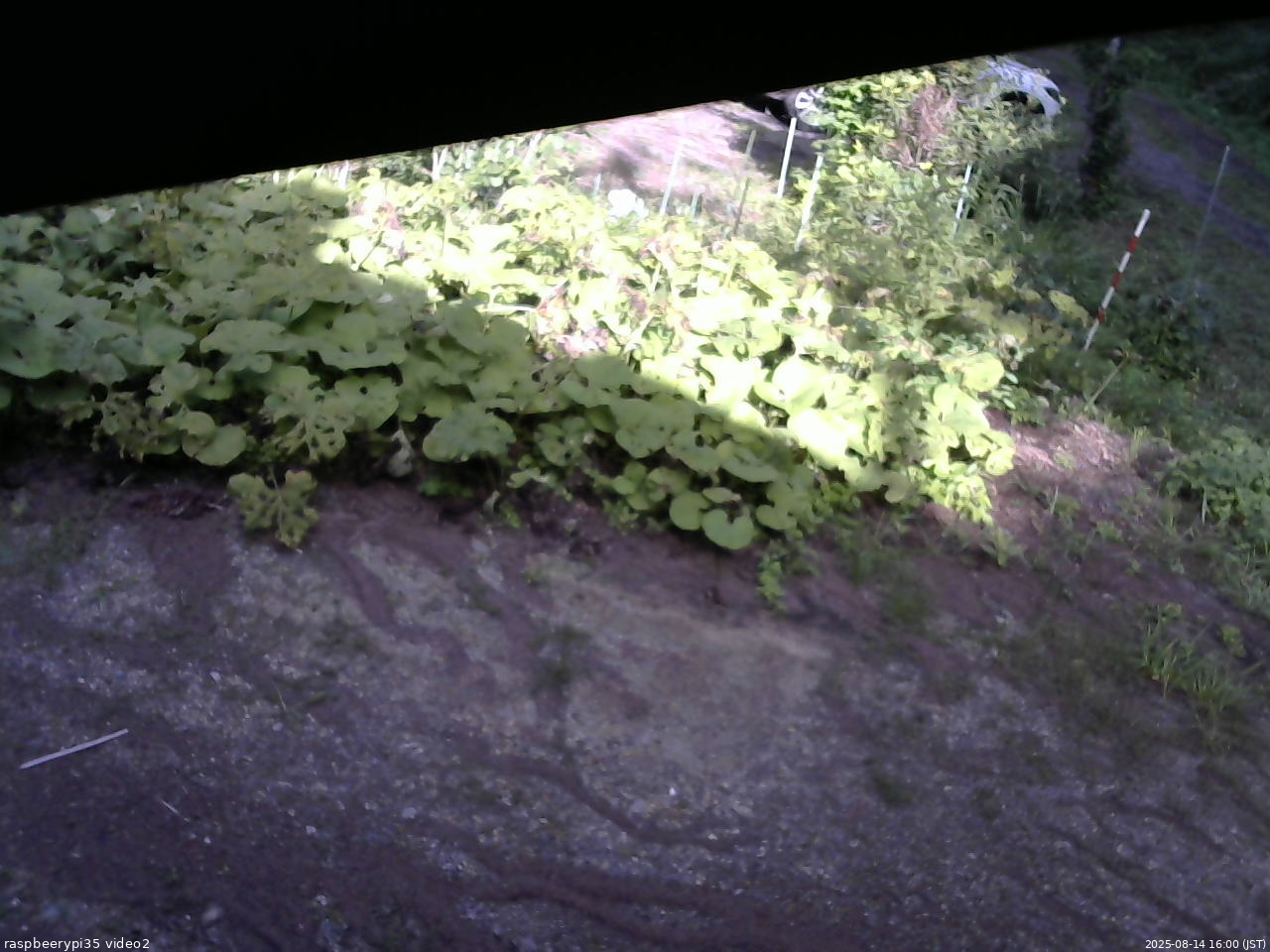 長野県菅平高原 ゆたか山荘 駐車場 2025/08/14 16:00