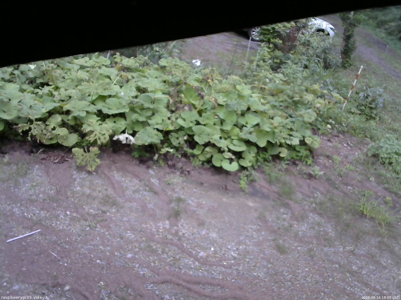 長野県菅平高原 ゆたか山荘 駐車場 2025/08/14 18:00