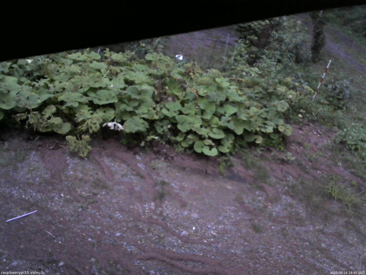 長野県菅平高原 ゆたか山荘 駐車場 2025/08/14 18:45