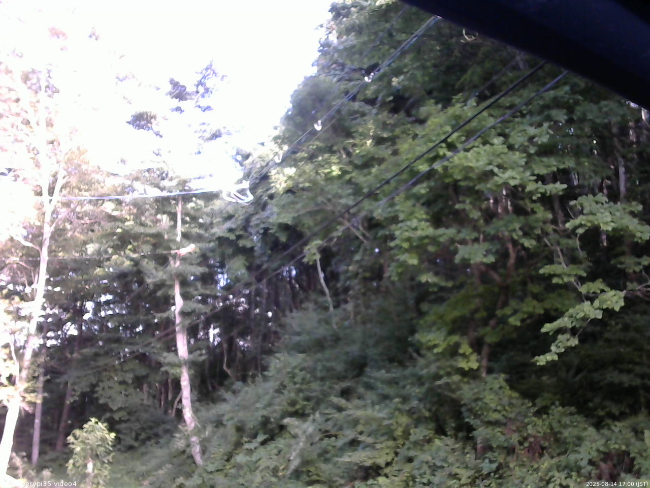 長野県菅平高原 ゆたか山荘 東側上空 2025/08/14 17:00