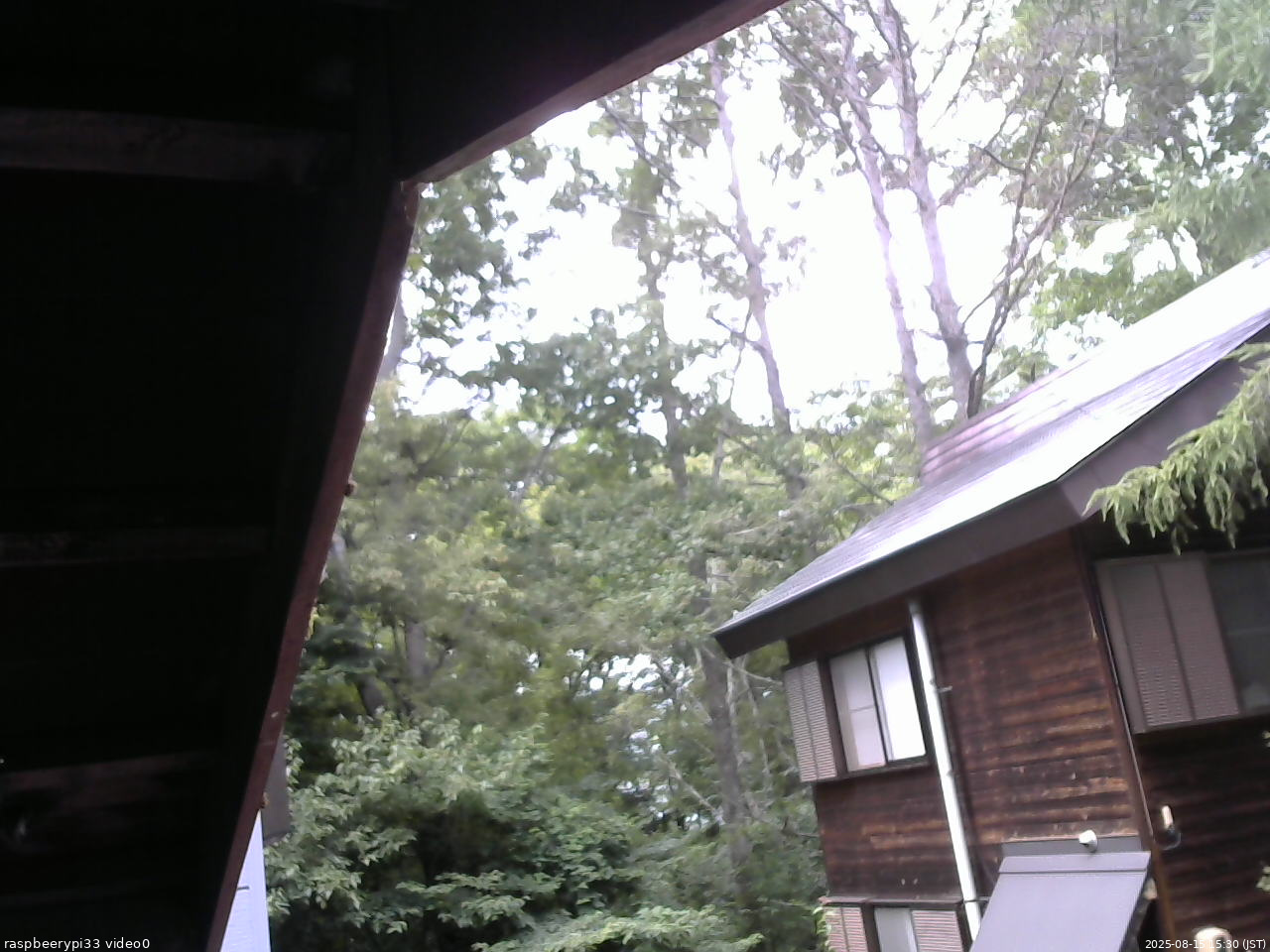 長野県菅平高原 ゆたか山荘 北側 2025/08/15 15:30