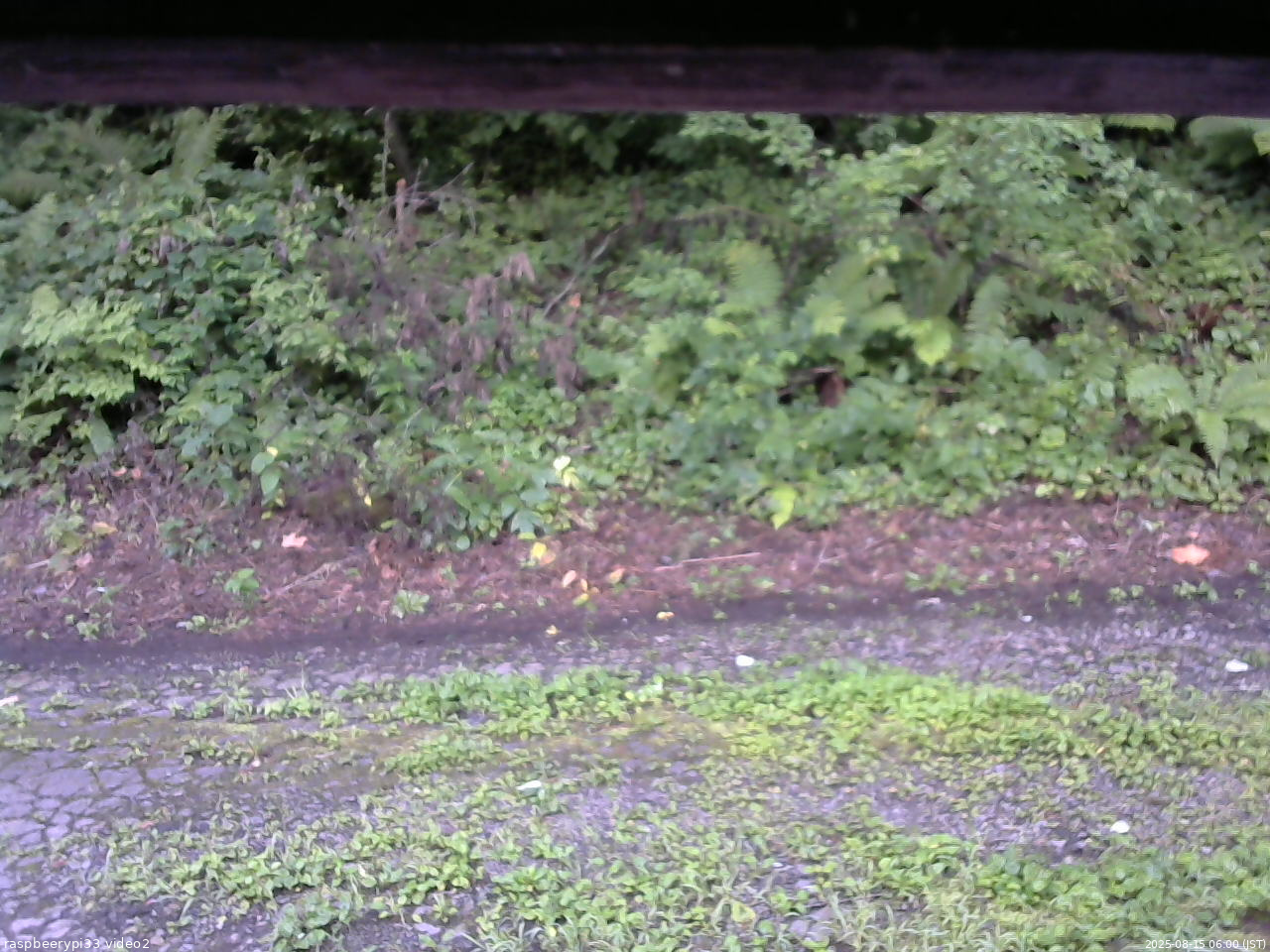 長野県菅平高原 ゆたか山荘 南側 2025/08/15 06:00