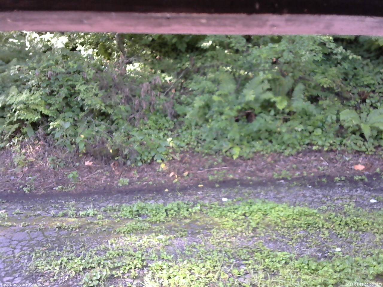 長野県菅平高原 ゆたか山荘 南側 2025/08/15 07:00