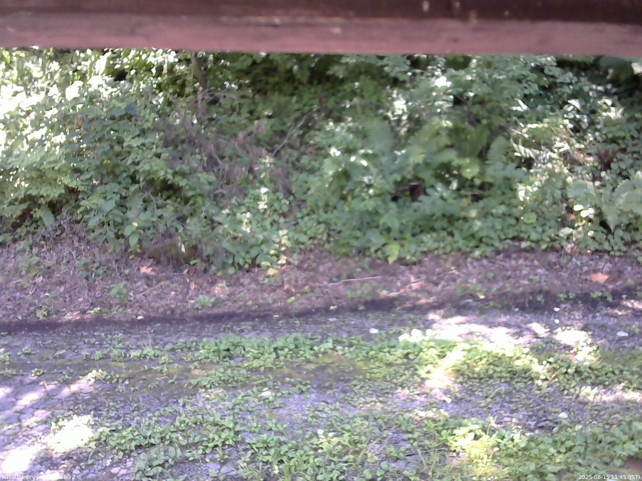 長野県菅平高原 ゆたか山荘 南側 2025/08/15 11:45