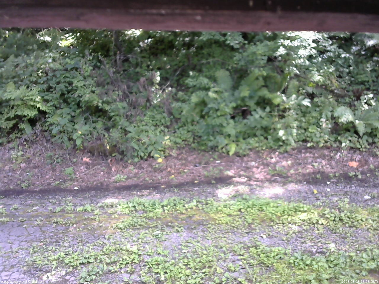 長野県菅平高原 ゆたか山荘 南側 2025/08/15 13:15