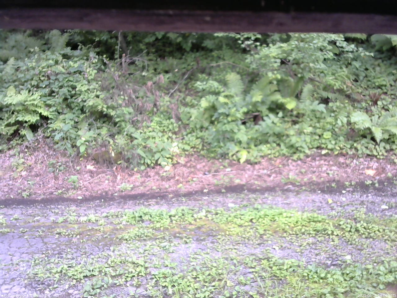 長野県菅平高原 ゆたか山荘 南側 2025/08/15 14:00