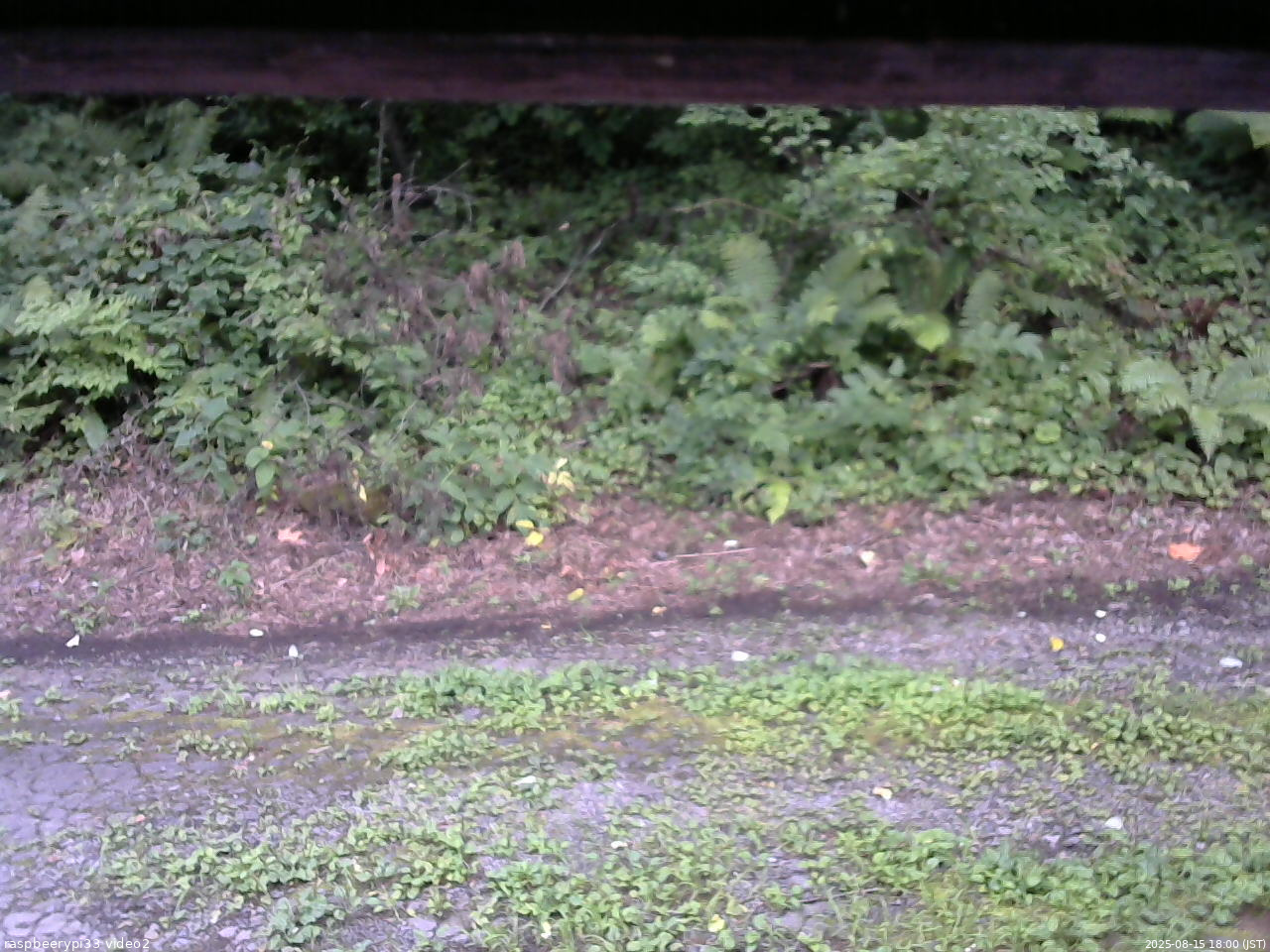 長野県菅平高原 ゆたか山荘 南側 2025/08/15 18:00