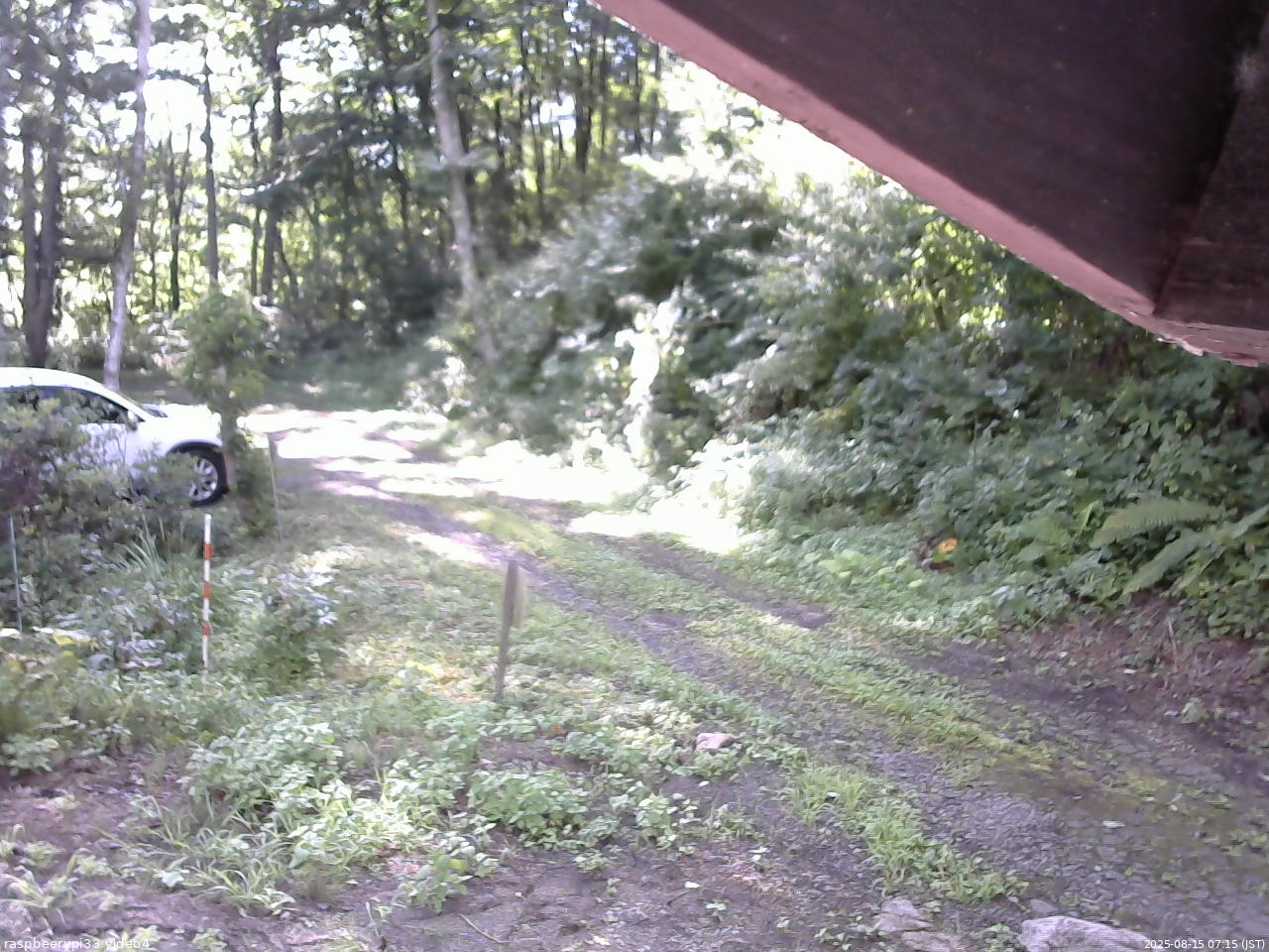 長野県菅平高原 ゆたか山荘 東側(坂下) 2025/08/15 07:15