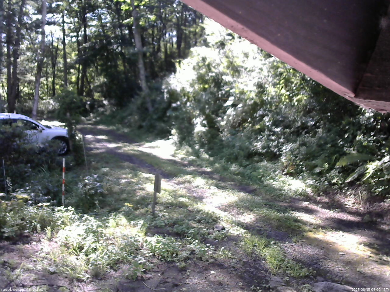 長野県菅平高原 ゆたか山荘 東側(坂下) 2025/08/15 08:00