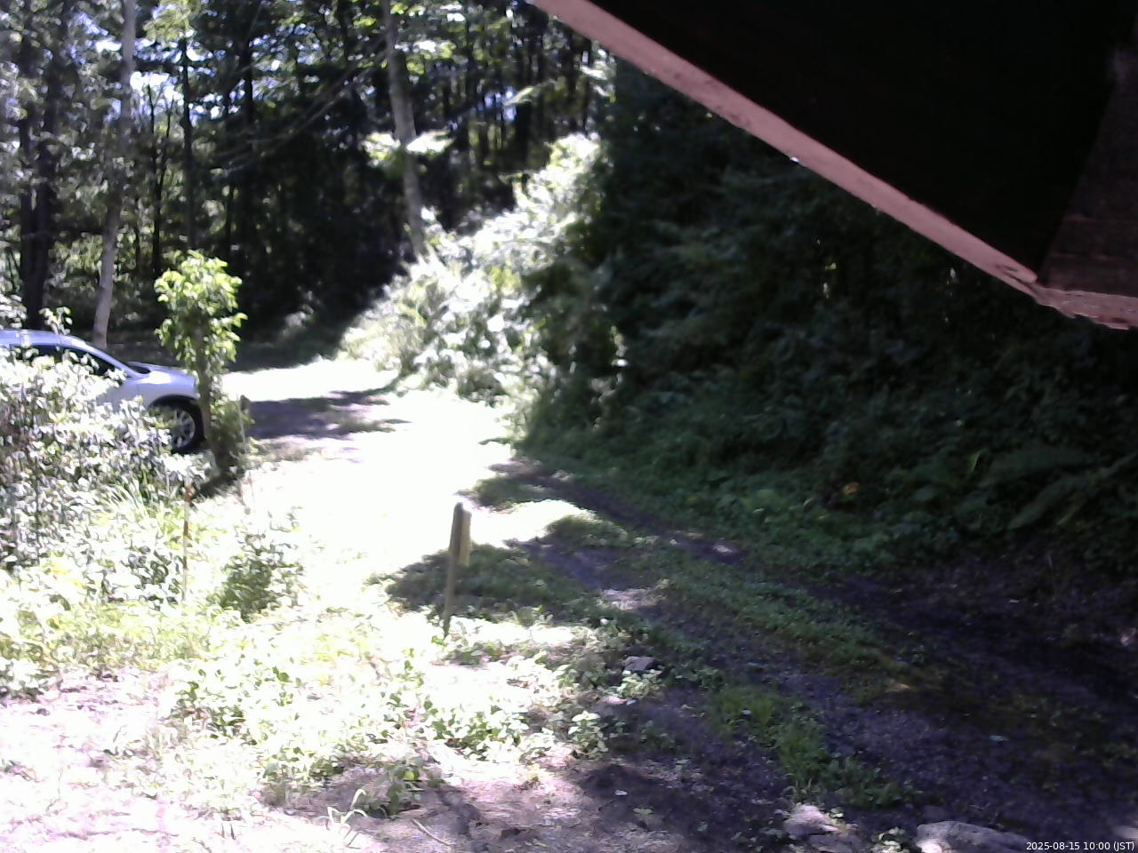 長野県菅平高原 ゆたか山荘 東側(坂下) 2025/08/15 10:00