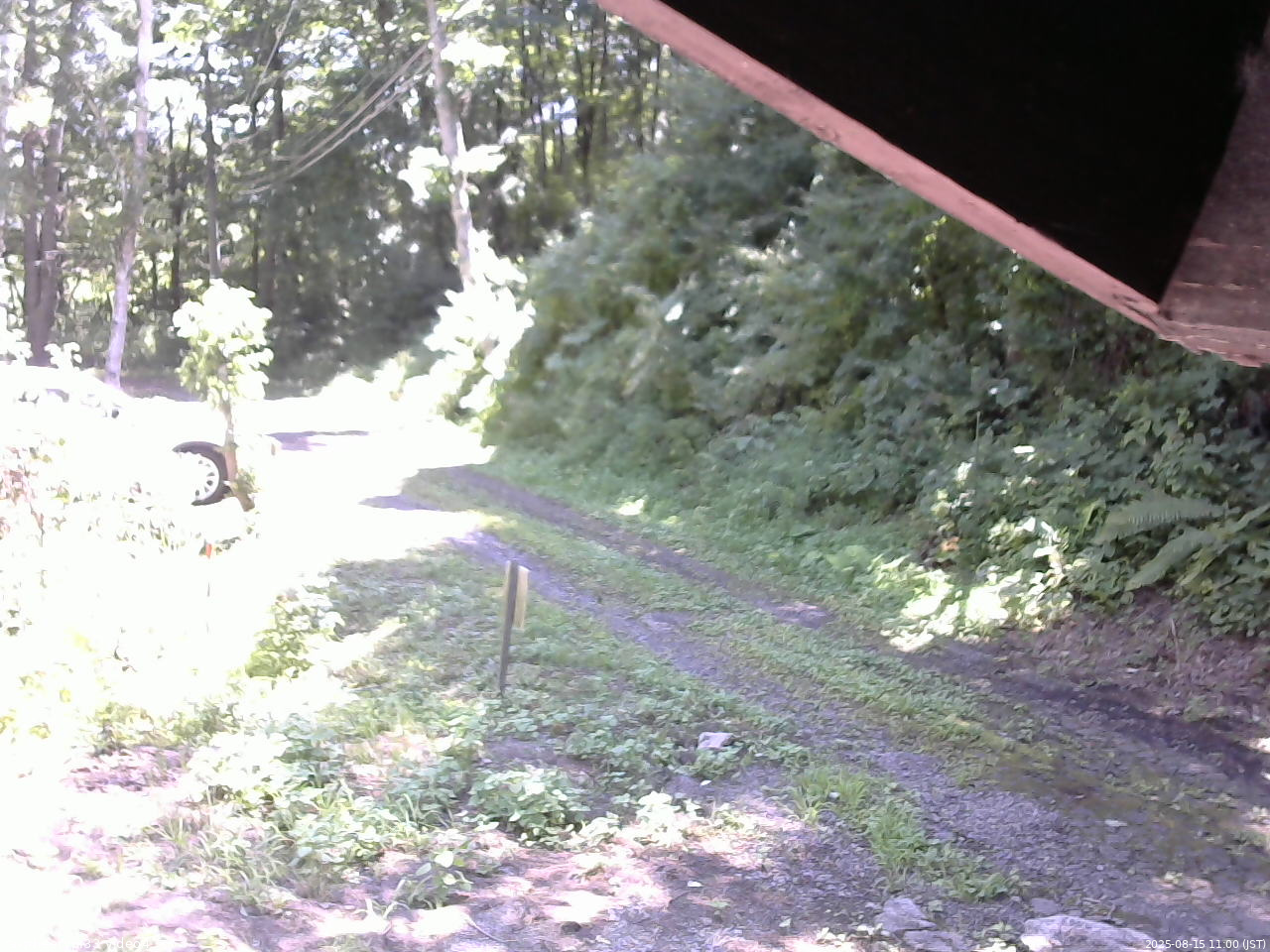 長野県菅平高原 ゆたか山荘 東側(坂下) 2025/08/15 11:00