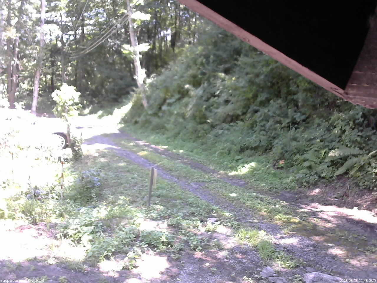 長野県菅平高原 ゆたか山荘 東側(坂下) 2025/08/15 11:45