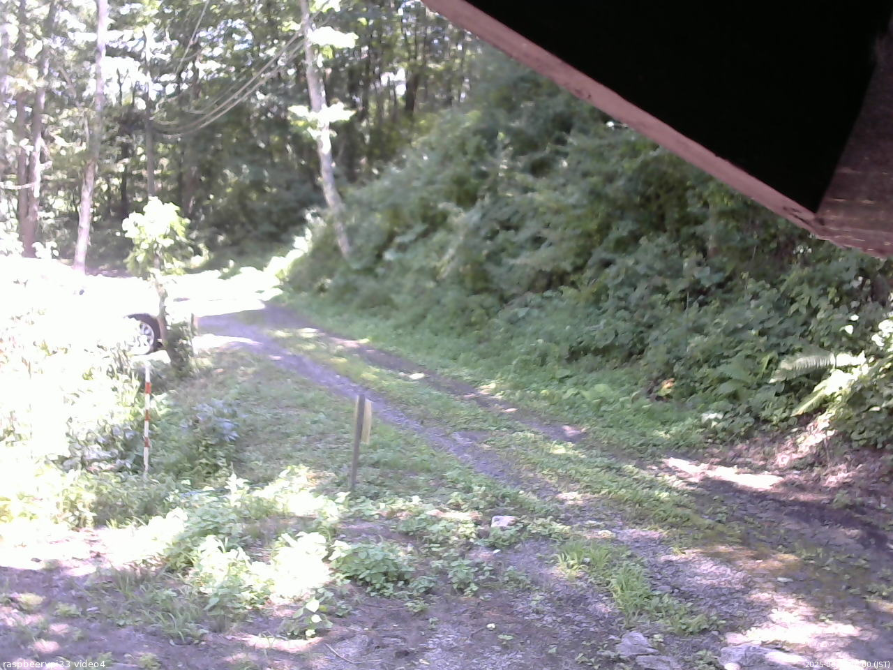 長野県菅平高原 ゆたか山荘 東側(坂下) 2025/08/15 12:00