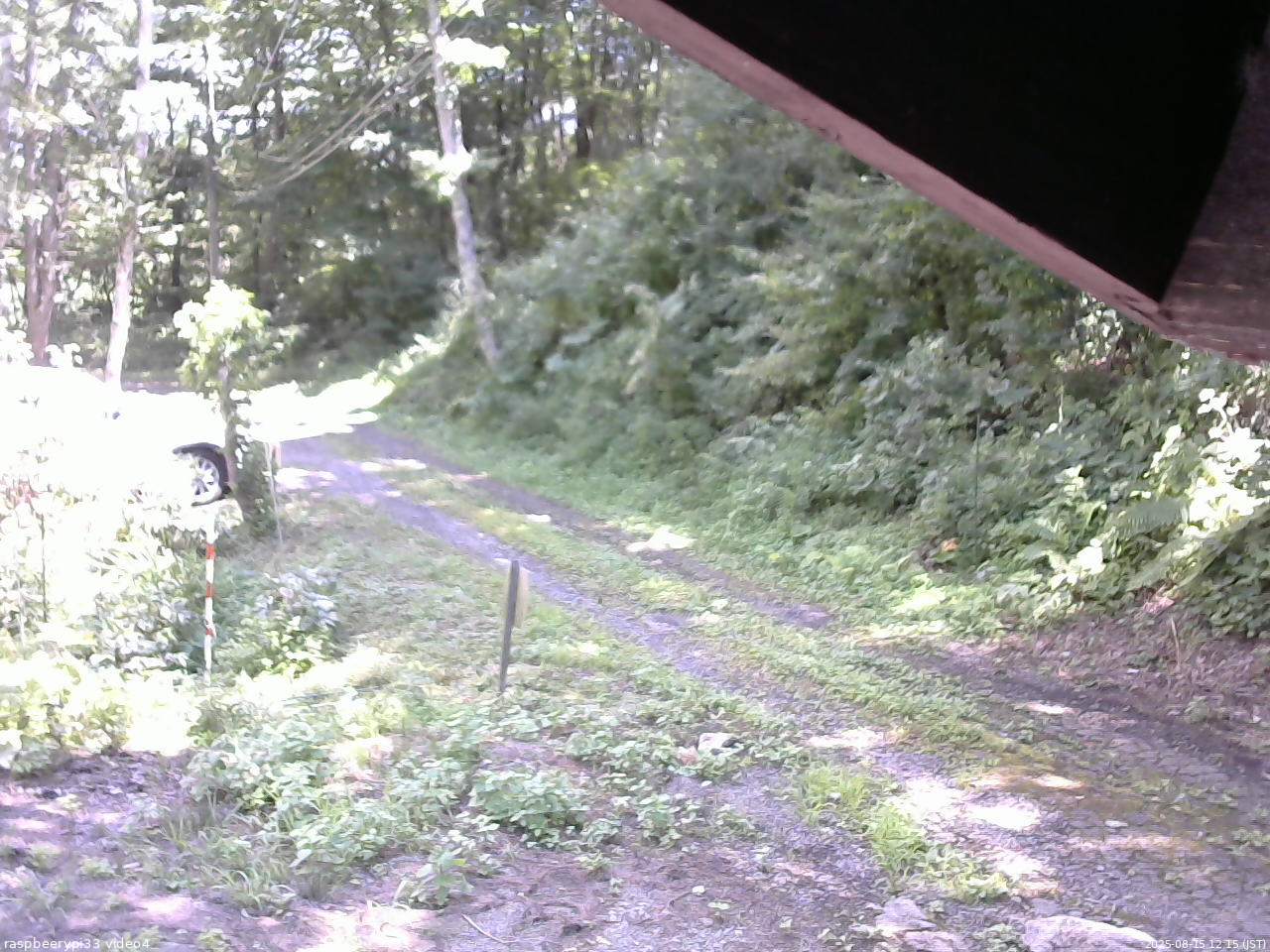 長野県菅平高原 ゆたか山荘 東側(坂下) 2025/08/15 12:15