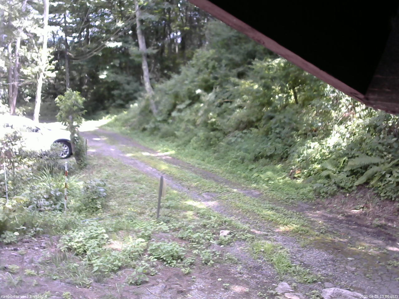 長野県菅平高原 ゆたか山荘 東側(坂下) 2025/08/15 13:00