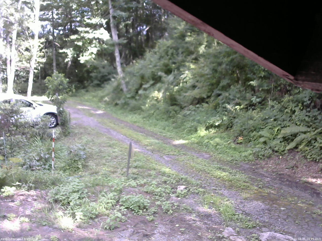 長野県菅平高原 ゆたか山荘 東側(坂下) 2025/08/15 14:15