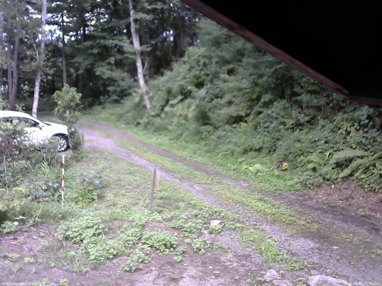 長野県菅平高原 ゆたか山荘 東側(坂下) 2025/08/15 15:30
