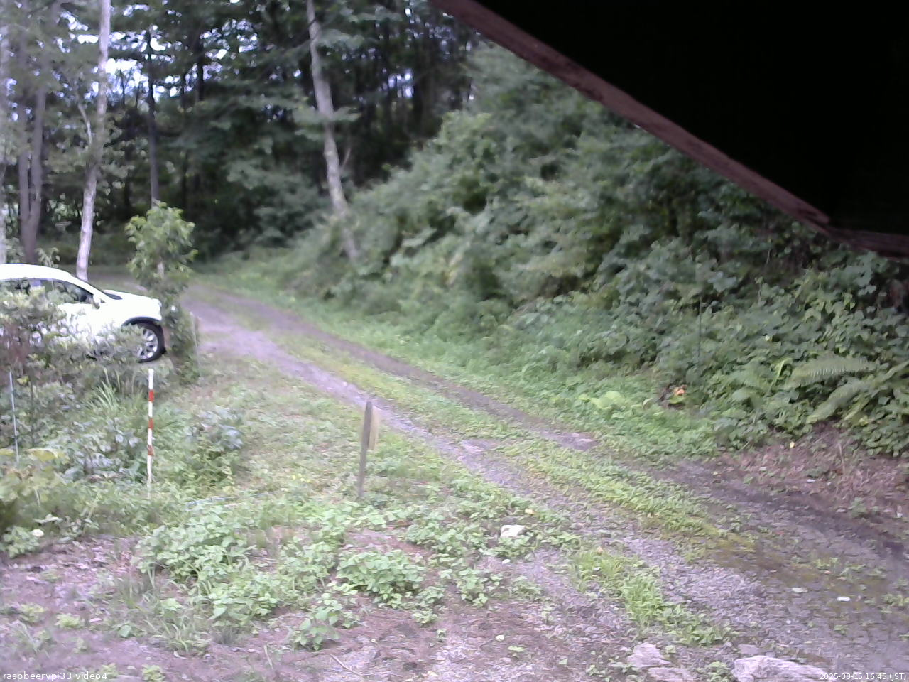 長野県菅平高原 ゆたか山荘 東側(坂下) 2025/08/15 16:45