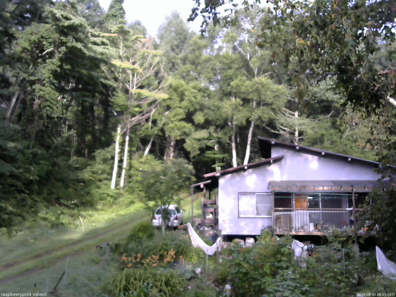 長野県菅平高原 ゆたか山荘 西側(坂上) 2025/08/15 06:15