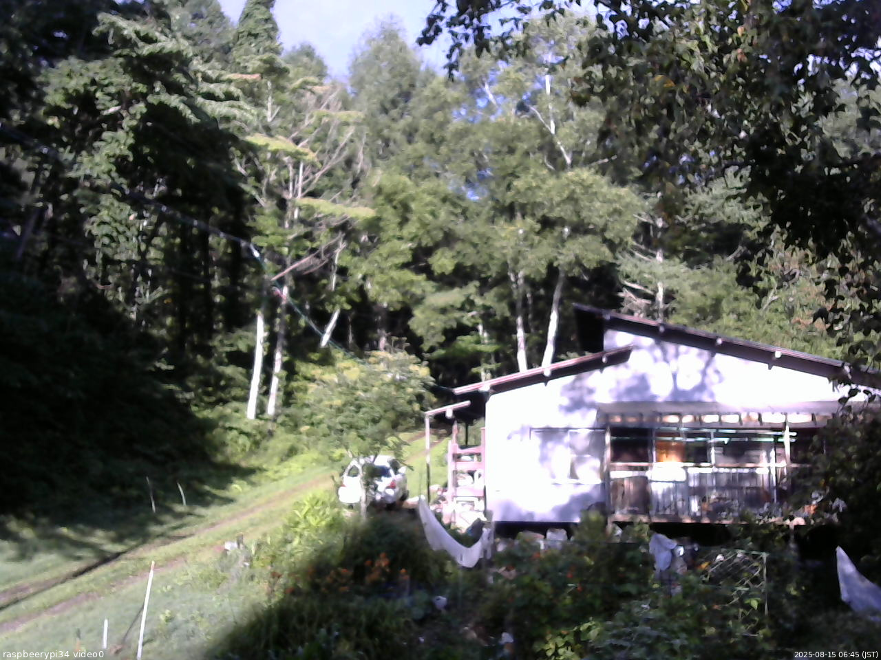 長野県菅平高原 ゆたか山荘 西側(坂上) 2025/08/15 06:45