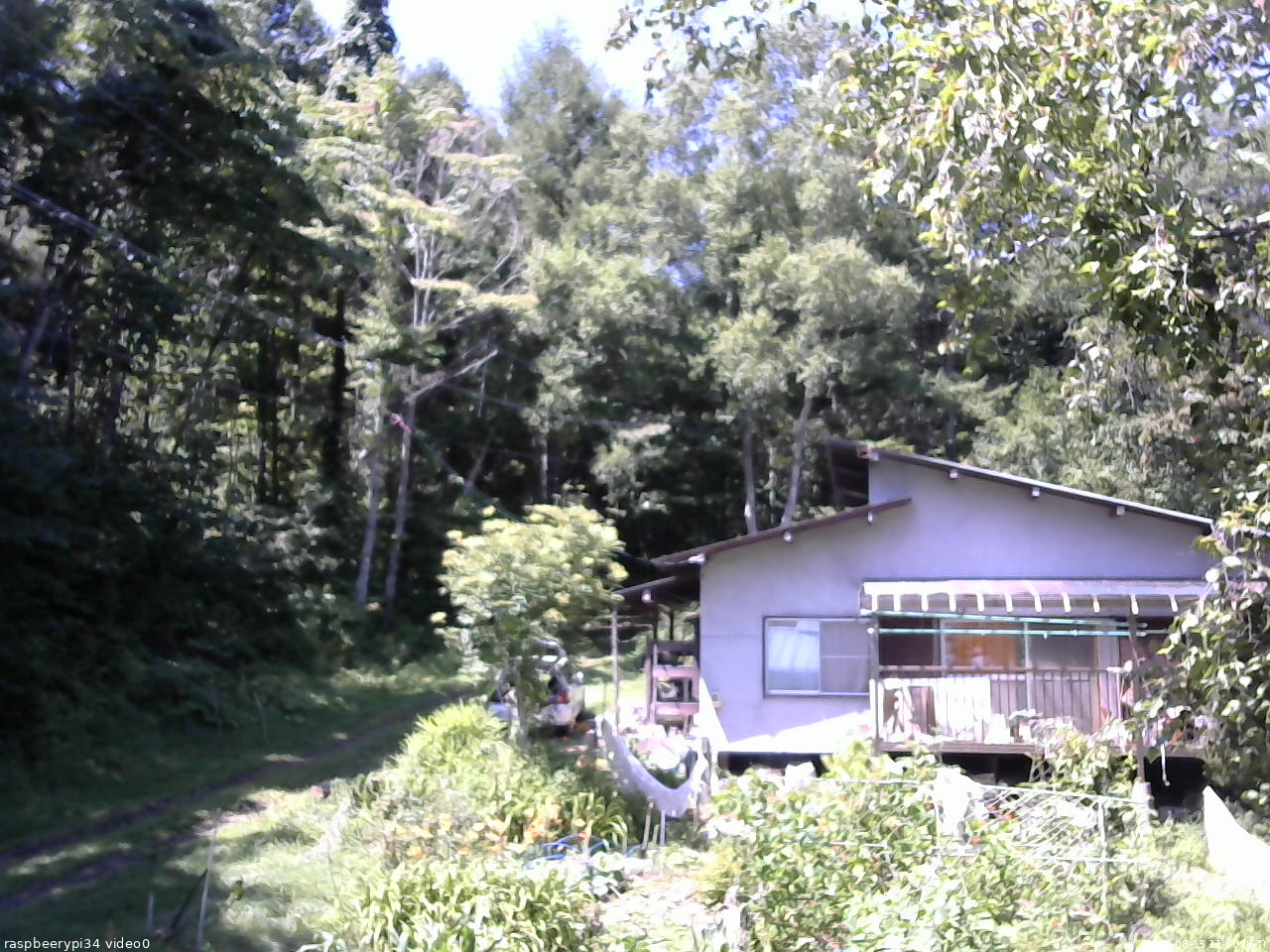 長野県菅平高原 ゆたか山荘 西側(坂上) 2025/08/15 11:00