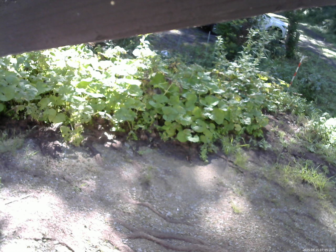 長野県菅平高原 ゆたか山荘 駐車場 2025/08/15 07:45