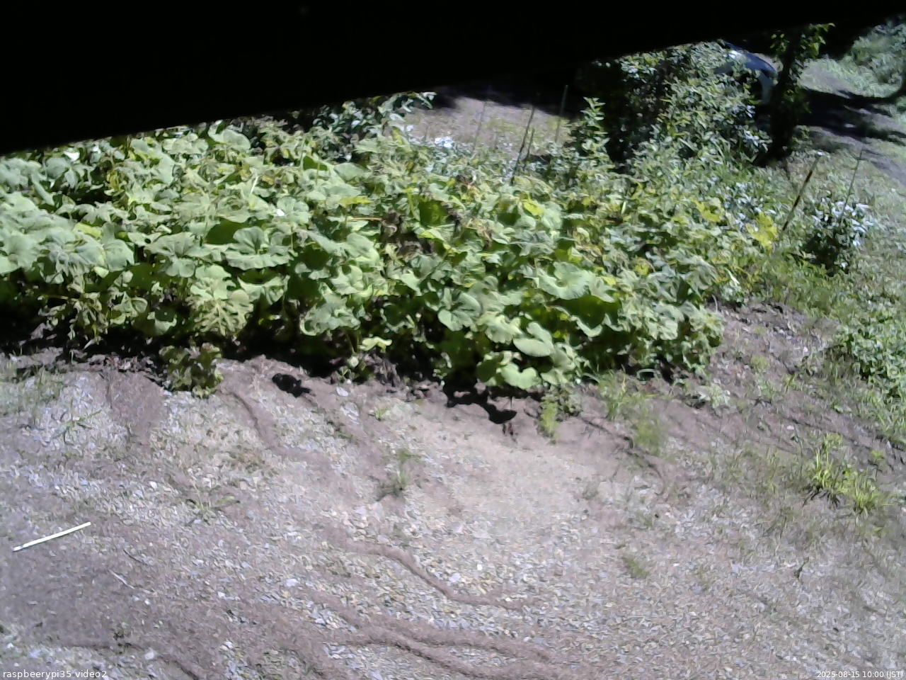 長野県菅平高原 ゆたか山荘 駐車場 2025/08/15 10:00