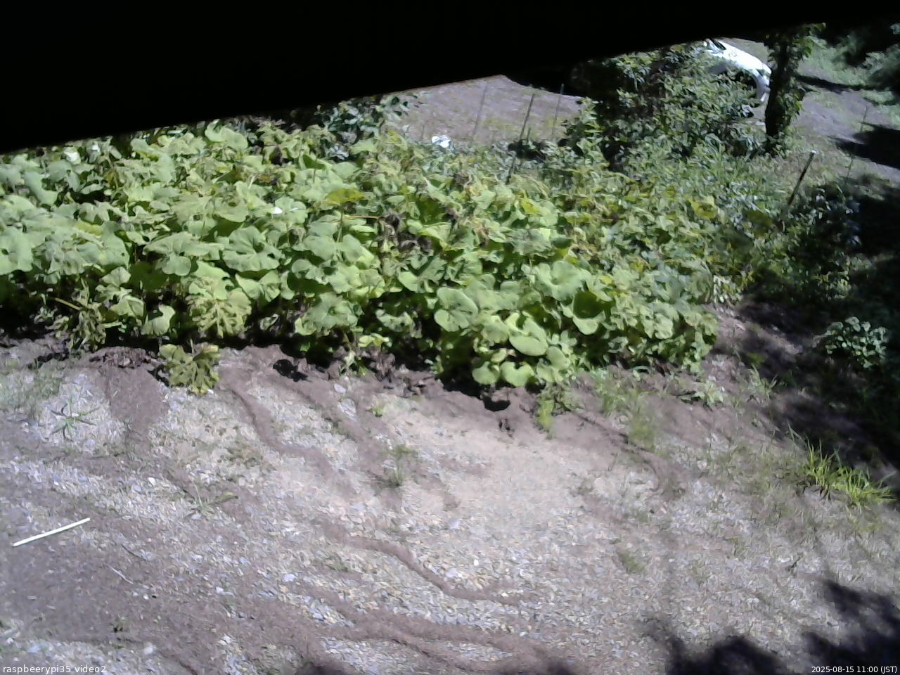長野県菅平高原 ゆたか山荘 駐車場 2025/08/15 11:00