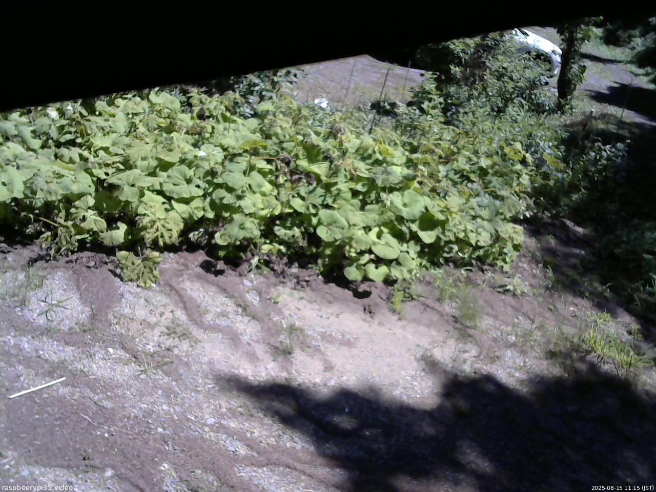 長野県菅平高原 ゆたか山荘 駐車場 2025/08/15 11:15