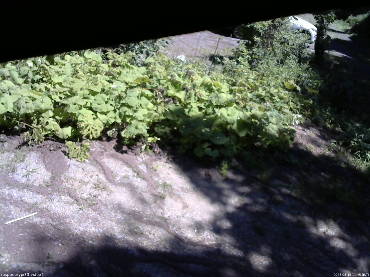 長野県菅平高原 ゆたか山荘 駐車場 2025/08/15 11:45