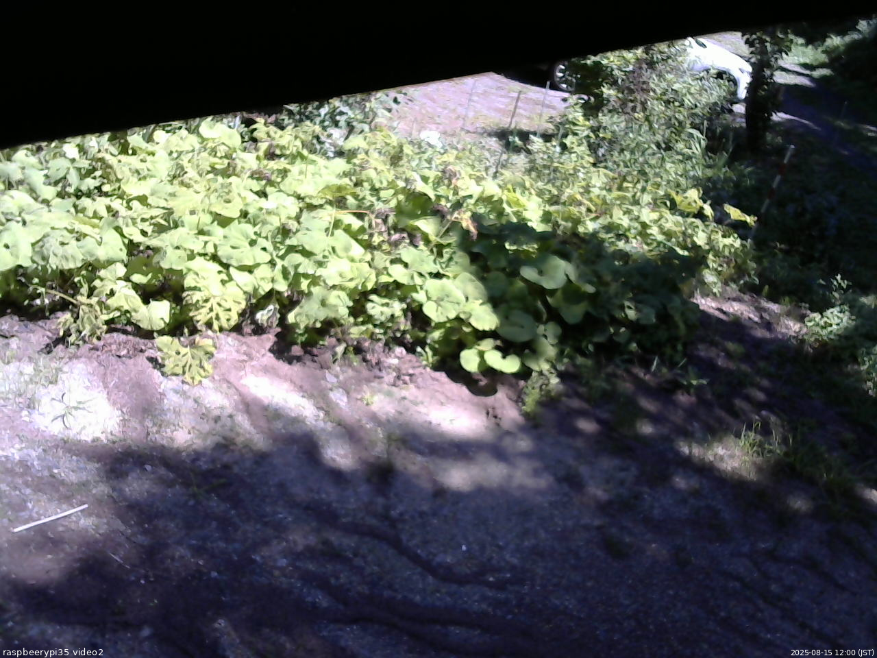 長野県菅平高原 ゆたか山荘 駐車場 2025/08/15 12:00