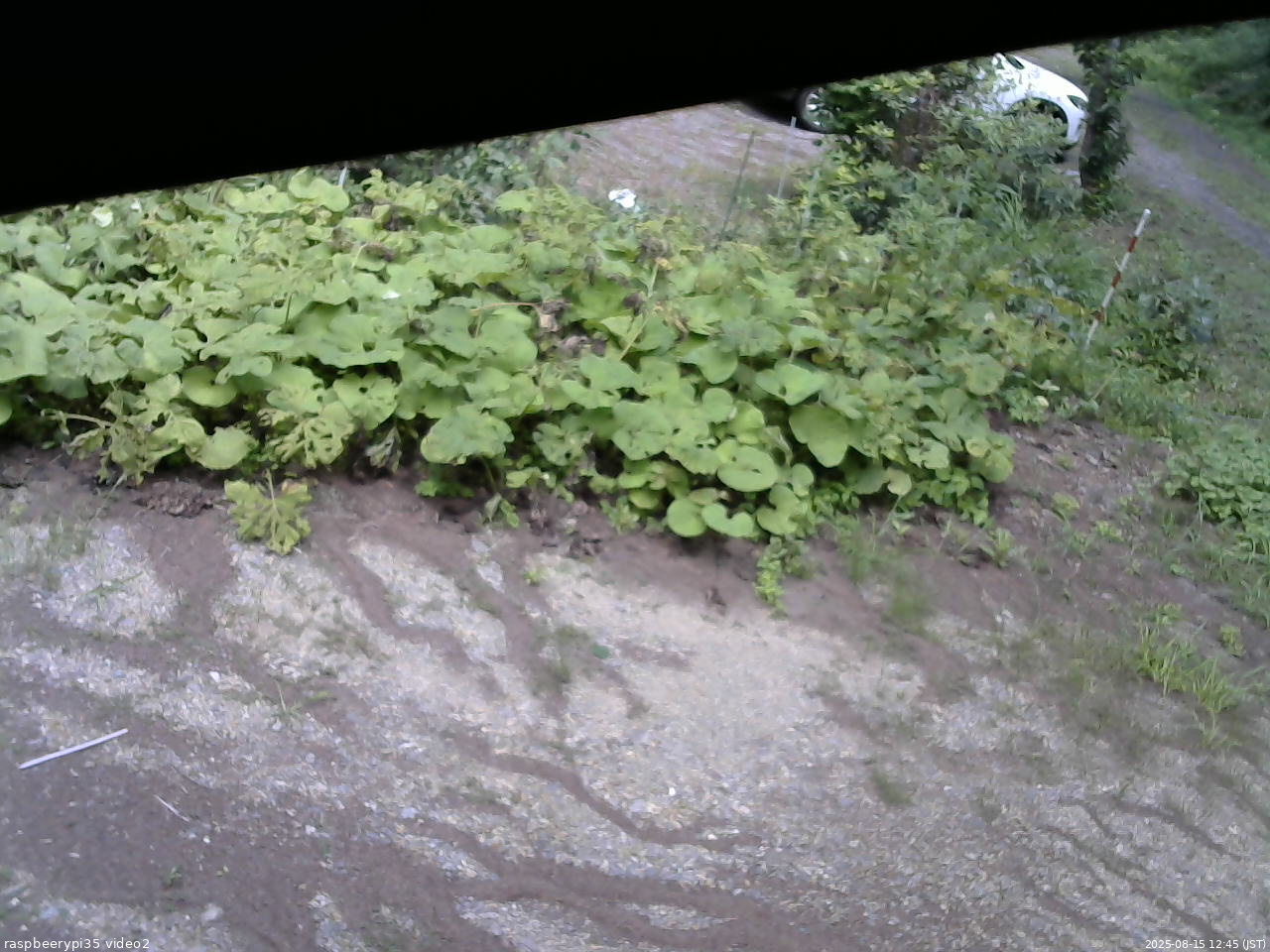 長野県菅平高原 ゆたか山荘 駐車場 2025/08/15 12:45