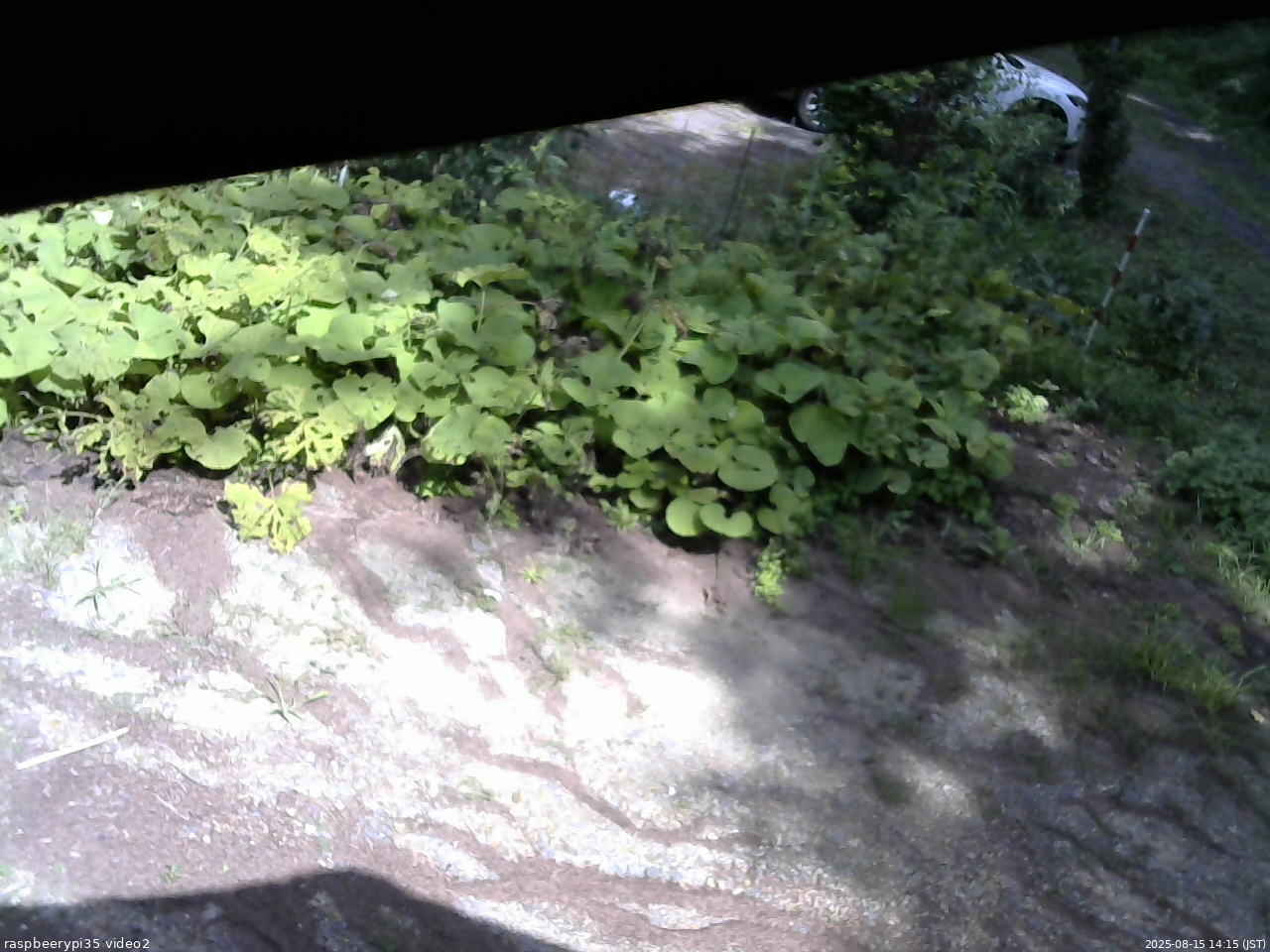 長野県菅平高原 ゆたか山荘 駐車場 2025/08/15 14:15