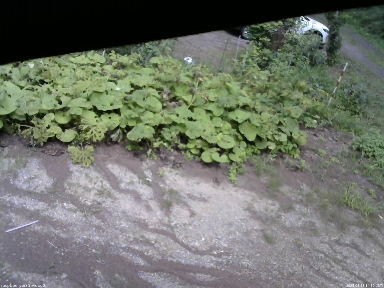 長野県菅平高原 ゆたか山荘 駐車場 2025/08/15 14:30