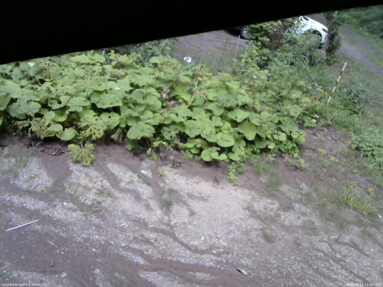 長野県菅平高原 ゆたか山荘 駐車場 2025/08/15 15:30