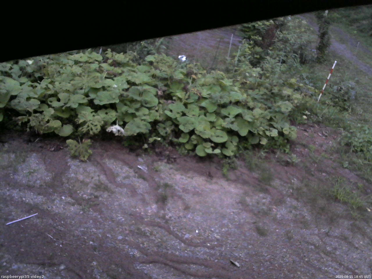 長野県菅平高原 ゆたか山荘 駐車場 2025/08/15 18:45