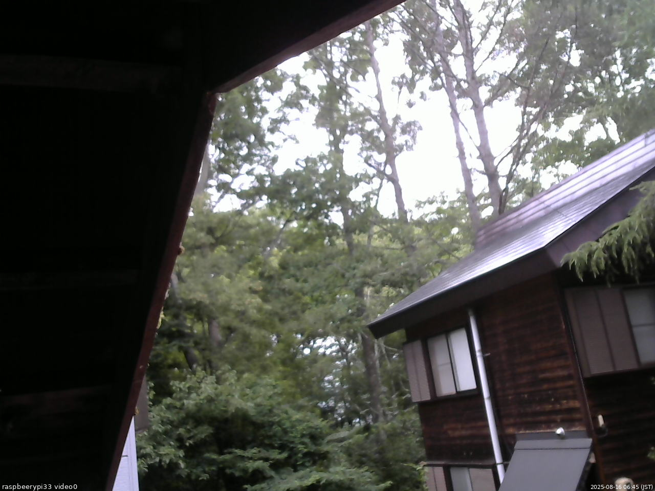 長野県菅平高原 ゆたか山荘 北側 2025/08/16 06:45